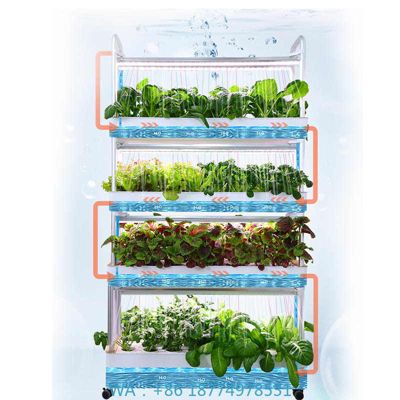 ydroponic Planting System Smar – Smart Home Automation Diy Bewertung und Preis