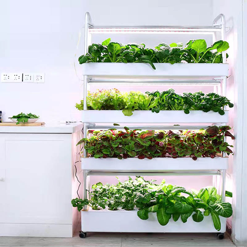 ydroponic Planting System Smar – Smart Home Automation Diy Bewertung und Preis