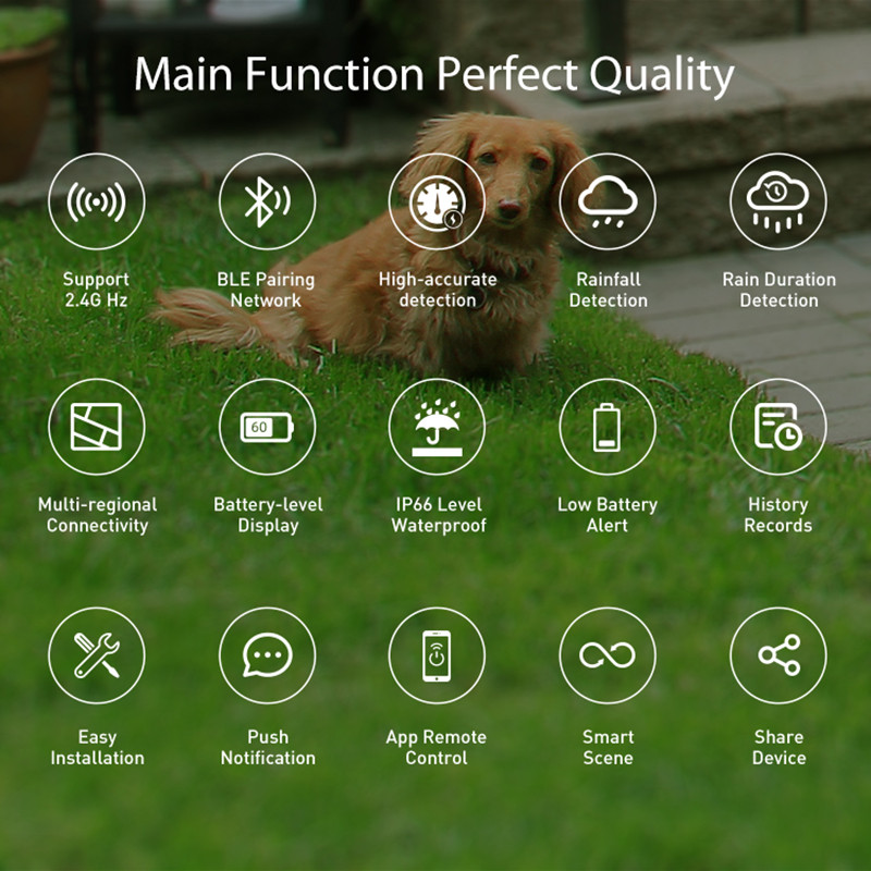 WiFi Rain Sensor Rainfall Dura – Home Automation Technology Bewertung und Preis