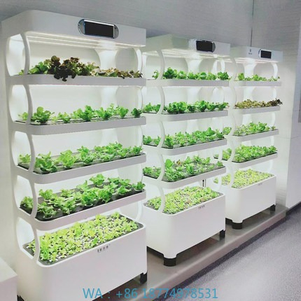 Hydroponic Automated Grow Syst – Home Automation Diy Bewertung und Preis