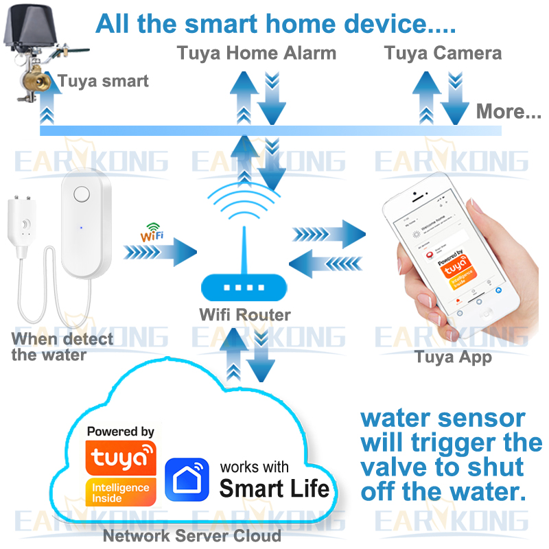 Tuya WiFi Smart Water Leak Sen – Home Automation Technology Bewertung und Preis